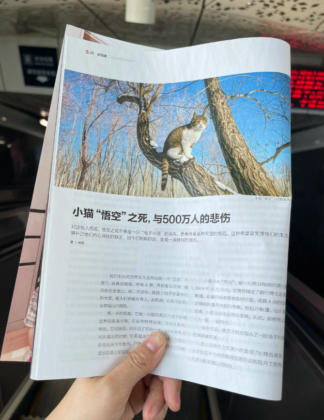 南风窗